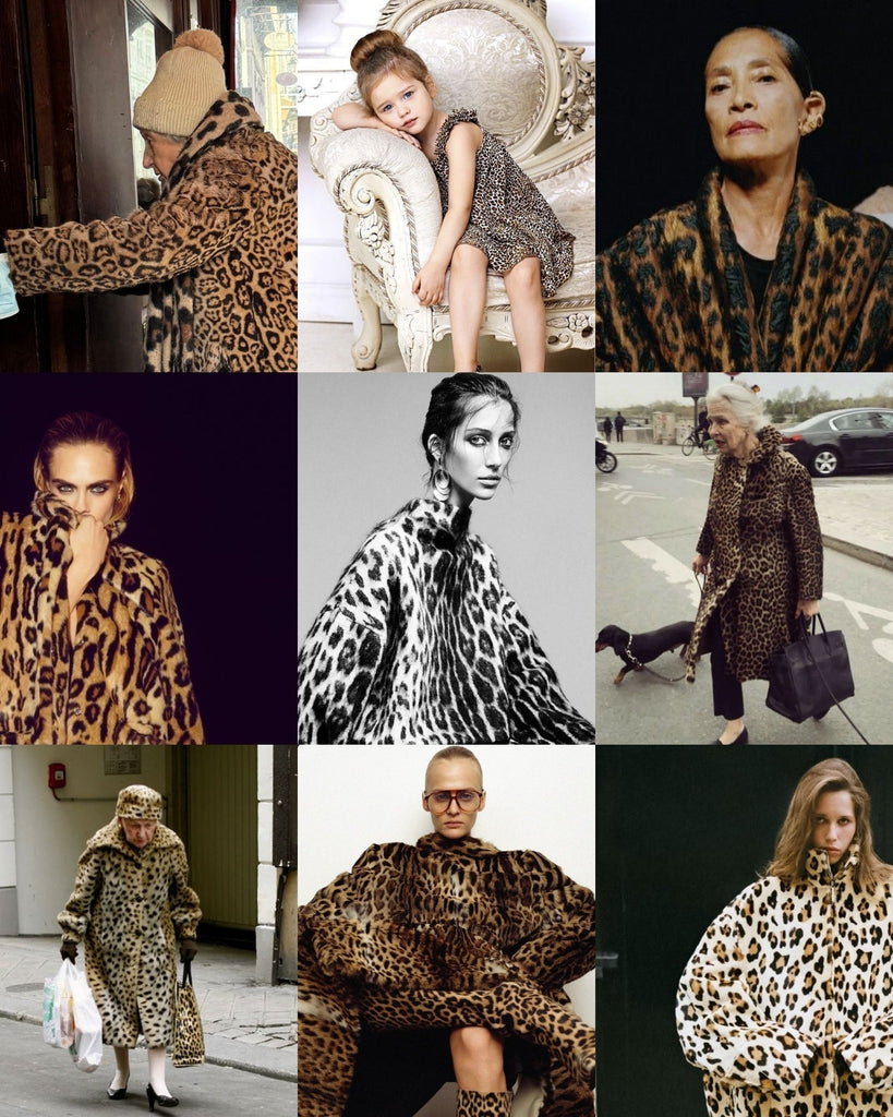 LE LEOPARD. VULGAIRE.